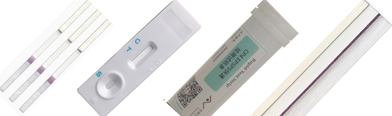 Rapid Diagnostic Solutions